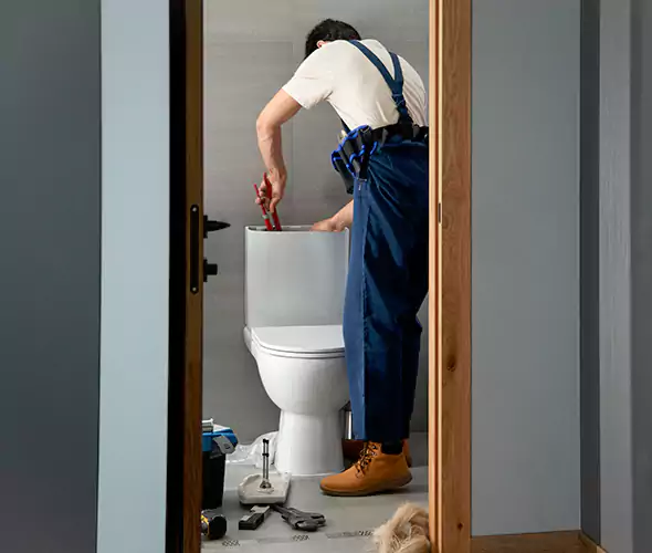 Professional Plumbers for Toilet Bowl Replacement in Sayville, NY: Schedule Affordable Toilet Replacement Services With Us
