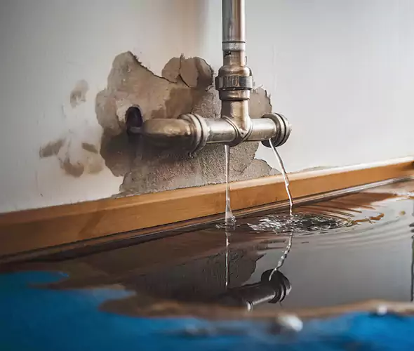 Professional Water Damage Restoration Experts in Sayville, NY — Fast, Reliable & Certified