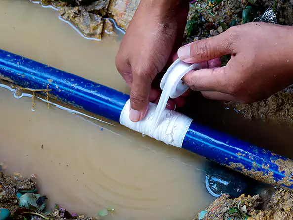  Why Choose Sayville Plumbers for Leak Detection in Sayville, NY?]