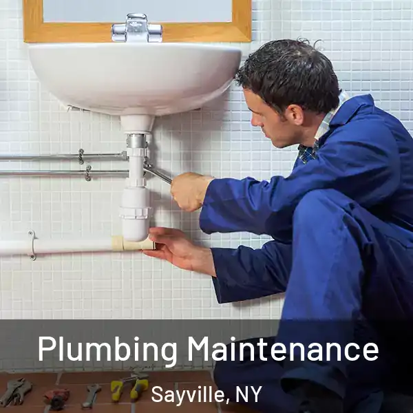  Plumbing Maintenance Sayville, NY