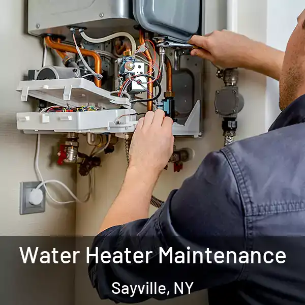  Water Heater Maintenance Sayville, NY